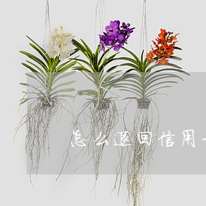 怎么退回信用卡利息(行用卡退利息)