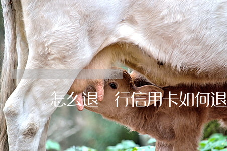怎么退銀行信用卡(如何退訂信用卡)