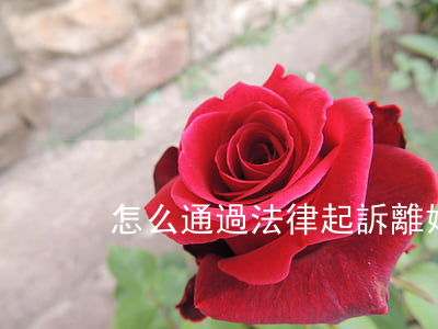 怎么通過法律起訴離婚(起訴怎樣才能離婚)