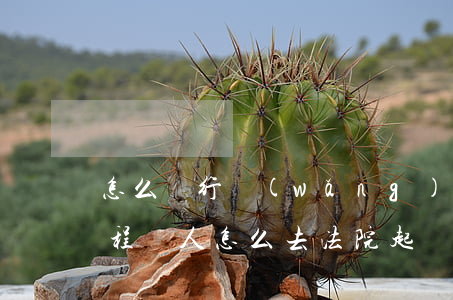 怎么進行網(wǎng)上起訴一個人的流程(個人怎么去法院起訴流程)
