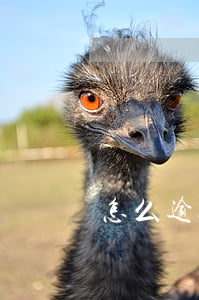 怎么逾期修復(fù)信用卡