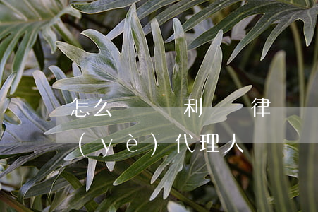 怎么選擇專利訴訟律師(專利律師需要考專業(yè)代理人)
