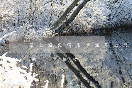 怎么避免信用卡逾期上門(怎么避免信用卡逾期上門催收)