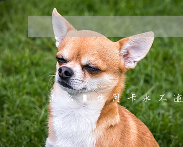 怎么還信用卡永不逾期(怎么還信用卡永不逾期)