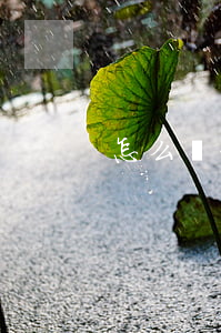 怎么還信用卡永不逾期(怎么還逾期的信用卡)