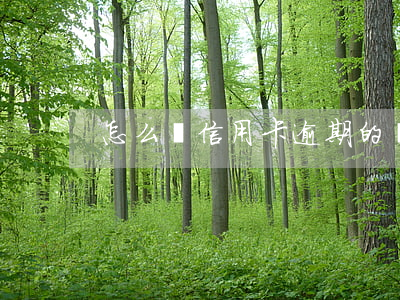 怎么還信用卡逾期的錢（信用卡逾期把錢扣了）