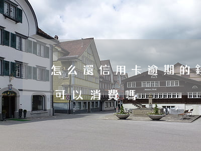 怎么還信用卡逾期的錢（信用卡逾期錢還進去可以消費嗎）