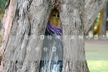 怎么還信用卡逾期的錢（怎么追回信用卡逾期的那些錢）