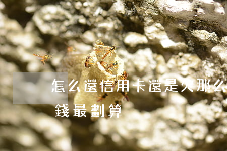 怎么還信用卡還是欠那么多(怎么還信用卡的錢最劃算)