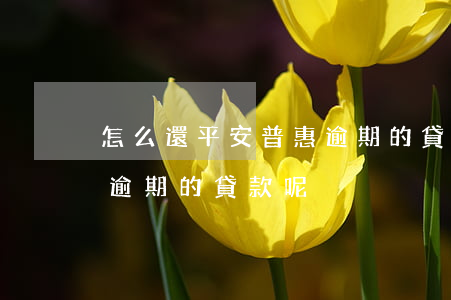 怎么還平安普惠逾期的貸款(怎么還平安普惠逾期的貸款呢)