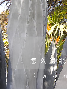 怎么還網(wǎng)商貸的錢-怎么還網(wǎng)商貸的錢避開還借唄的錢