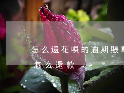 怎么還花唄的逾期賬單(我的支付寶花唄逾期怎么還款)