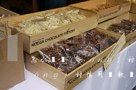 怎么還農(nóng)村信用卡利息(農(nóng)村信用還款該怎么還)