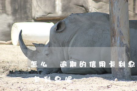 怎么還逾期的信用卡利息(怎么還逾期的信用卡利息呢)