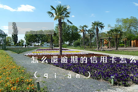怎么還逾期的信用卡 怎么還逾期的信用卡錢(qián)