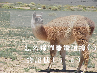 怎么錄假離婚證據(jù)(怎樣收集假離婚的證據(jù))