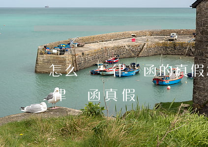 怎么鑒別律師函的真假(怎么識(shí)別律師函真假)