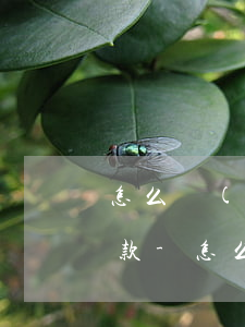 怎么關(guān)閉支付寶借唄的自動還款-怎么關(guān)閉支付寶借唄的自動還款功能