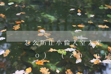 怎么防止小偷入室（入室搶劫的定罪標(biāo)準(zhǔn)）