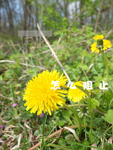 怎么阻止父母离婚