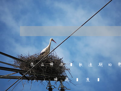 怎么降低還款逾期的影響(逾期還款會(huì)降低額度嗎)