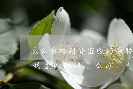 怎么面对网贷催收的威胁(我被网贷催收威胁我家人我该怎么办)