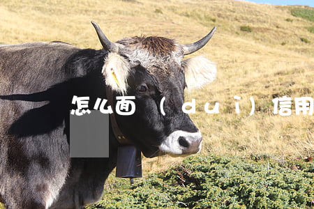 怎么面對(duì)信用卡逾期的追債