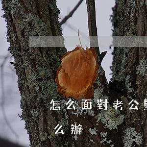 怎么面對老公堅決要離婚(老公堅持要離婚怎么辦)
