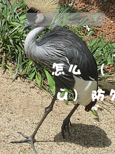 怎么預(yù)防欠債無力償還 怎么預(yù)防欠債無力償還