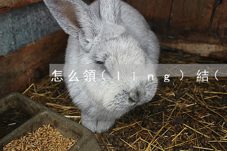 怎么領(lǐng)結(jié)婚證