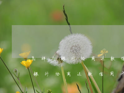 怎样与银行协商还款信用卡不被拒-怎样与银行协商还款信用卡不被拒绝