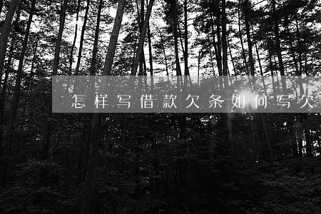 怎样写借款欠条(如何写欠款条)