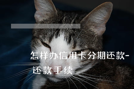 怎样办信用卡分期还款-怎样办信用卡分期还款手续