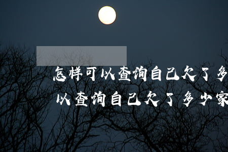 怎样可以查询自己欠了多少家网贷-怎样可以查询自己欠了多少家网贷呢