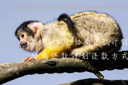 怎样和银行协商还款计划还款-怎样和银行协商还款计划还款方式