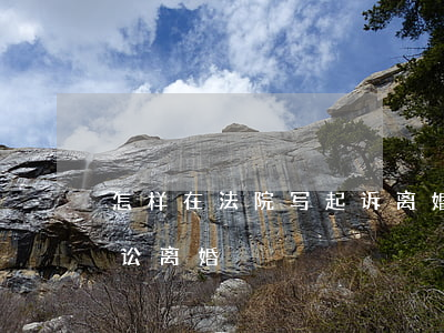 怎样在法院写起诉离婚(怎么样向法院提起诉讼离婚)