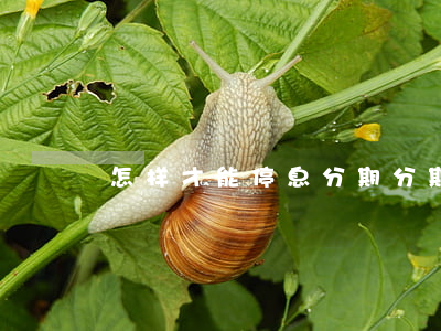 怎样才能停息分期(分期乐可以停息分期吗?)