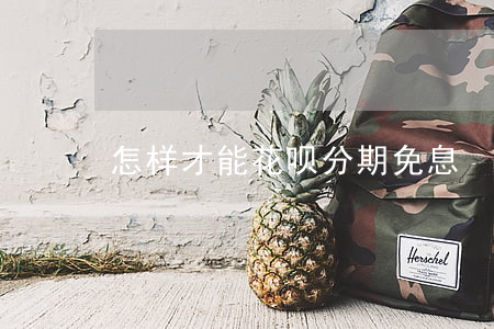 怎样才能花呗分期免息