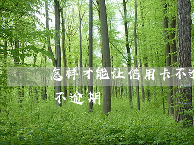 怎样才能让信用卡不逾期（怎样才能让信用卡不逾期）
