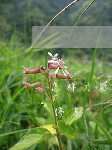 怎样才能让银行停息挂账(怎样要求银行挂账停息)