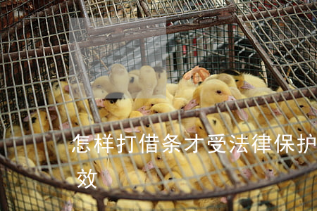 怎样打借条才受法律保护(怎样打借条法律有效)