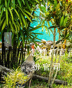 怎样打官司民事诉讼流程简介(怎样打民事纠纷官司)
