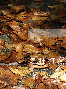 怎样打欠条有法律效力格式(正规有法律效力的欠条格式)