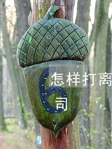 怎样打离婚官司才会一次判离(离婚怎么打官司)
