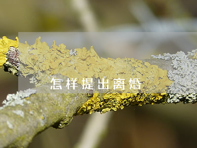 怎样提出离婚