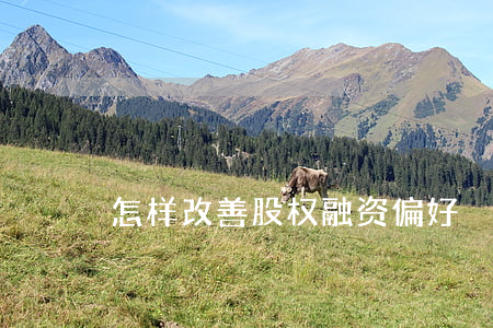怎样改善股权融资偏好