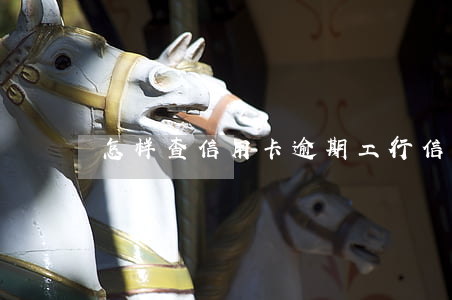 怎样查信用卡逾期（工行信用卡怎么查看逾期）
