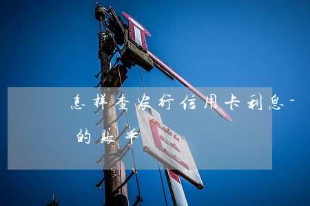 怎样查农行信用卡利息-怎么查农行信用卡的账单