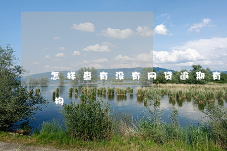 怎样查有没有网贷逾期(有逾期查不到网贷机构)