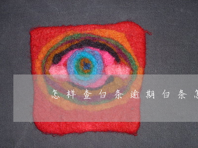 怎样查白条逾期(白条怎么查还款记录)